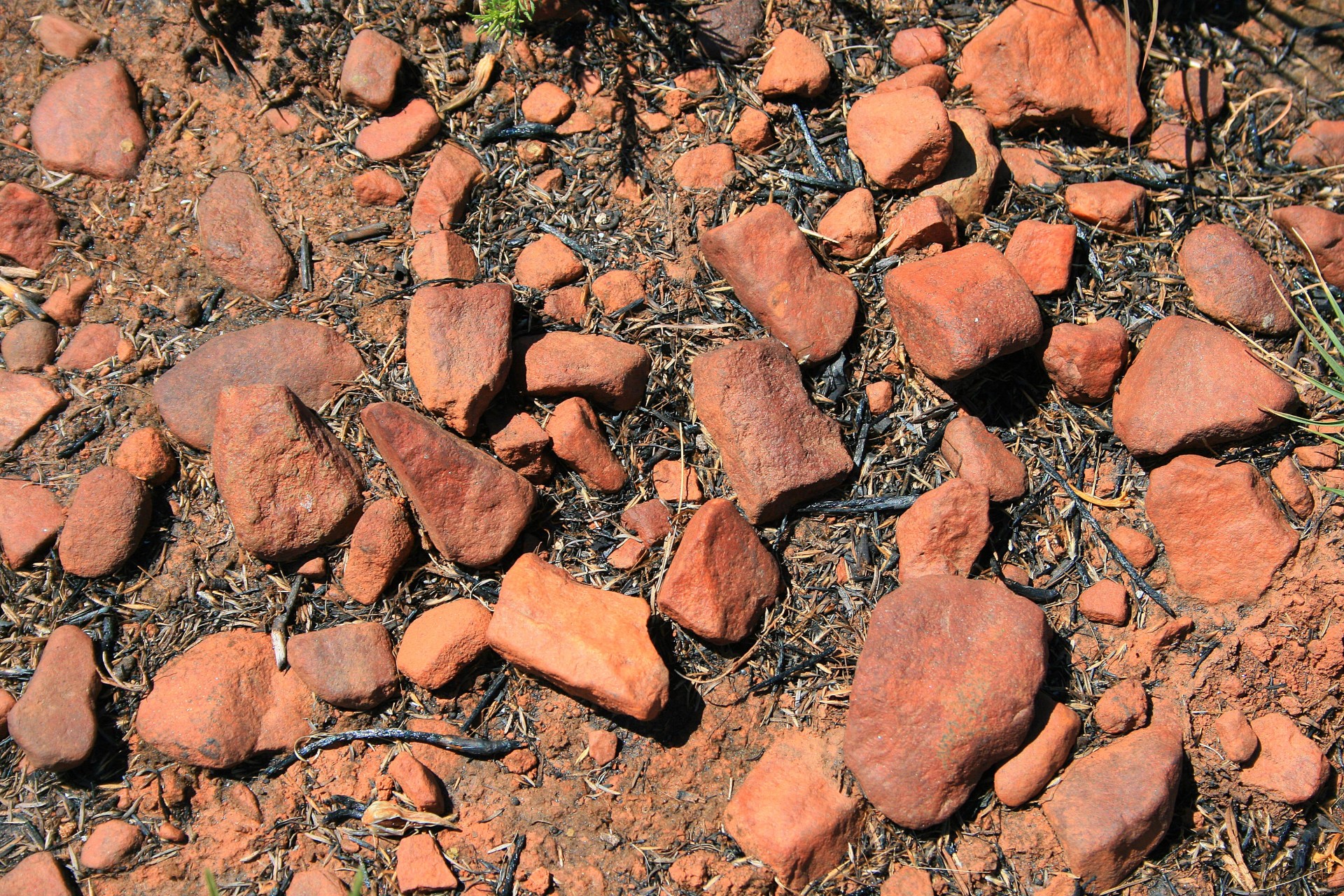 soil stones smooth free photo