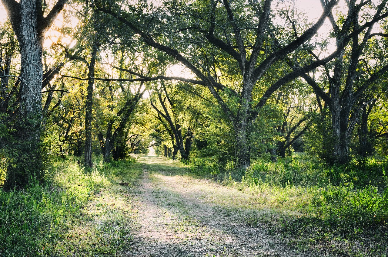 pecan agriculture trail free photo