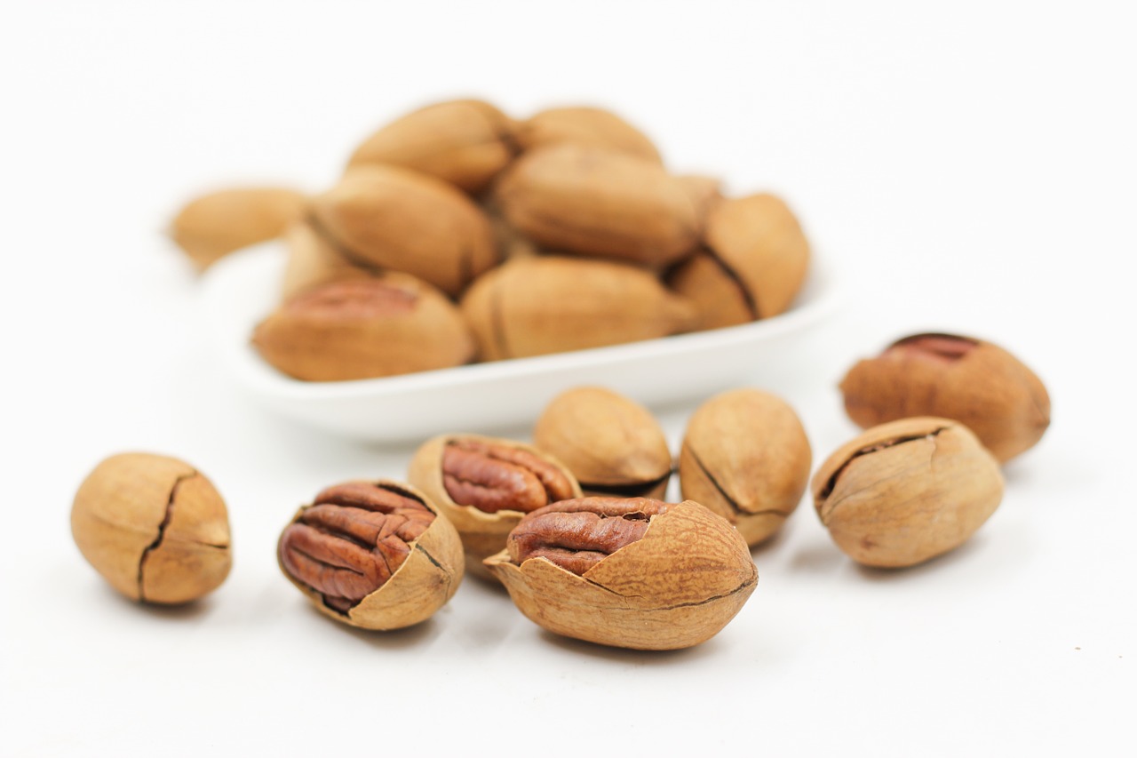 pecans nut walnuts free photo