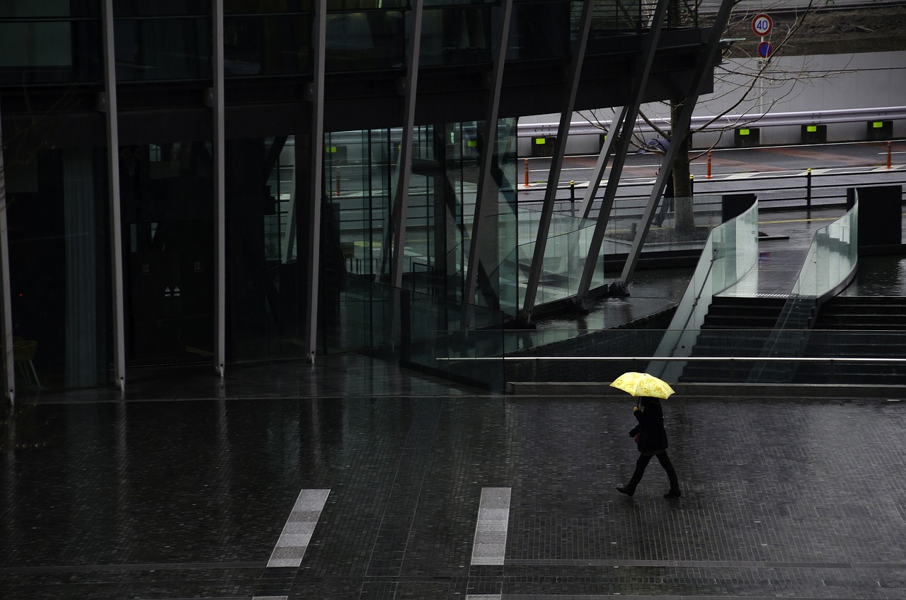 pedestrian rain people free photo