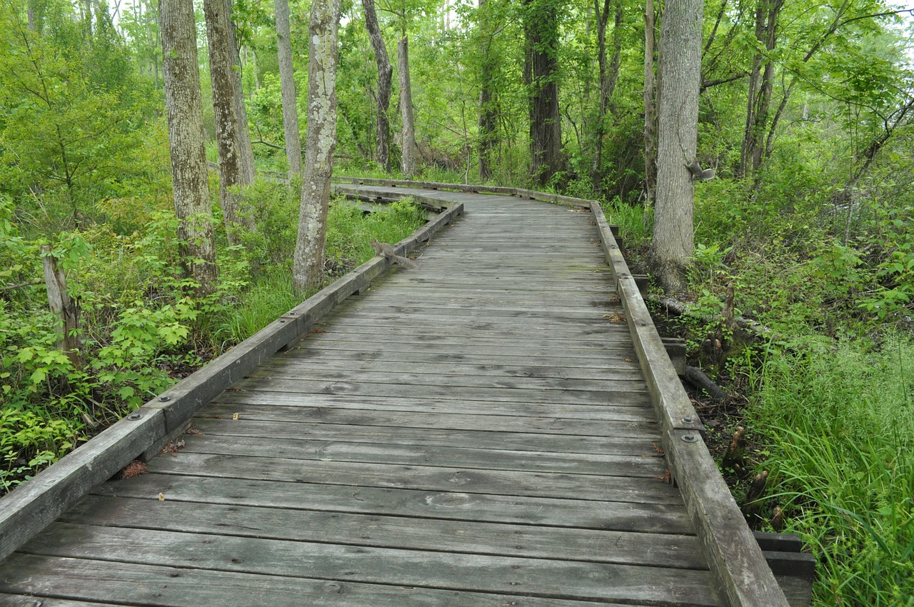 pedestrian bridge wood path free photo