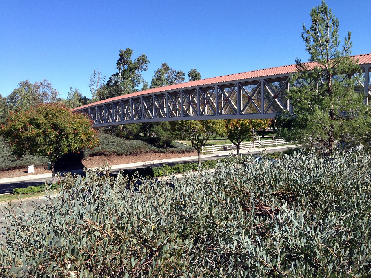 pedestrian-bridge foliage shrubs free photo