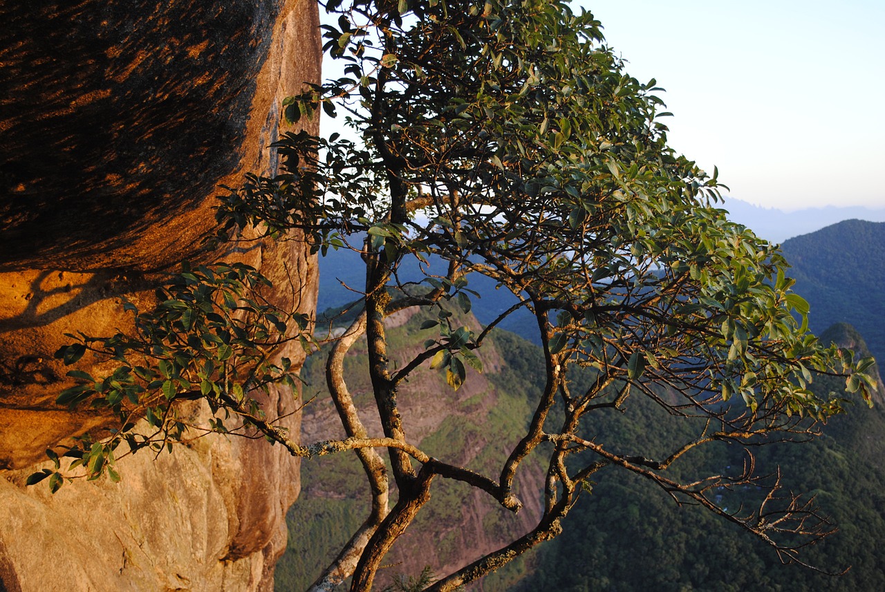 pedra da gávea sol sunrise free photo