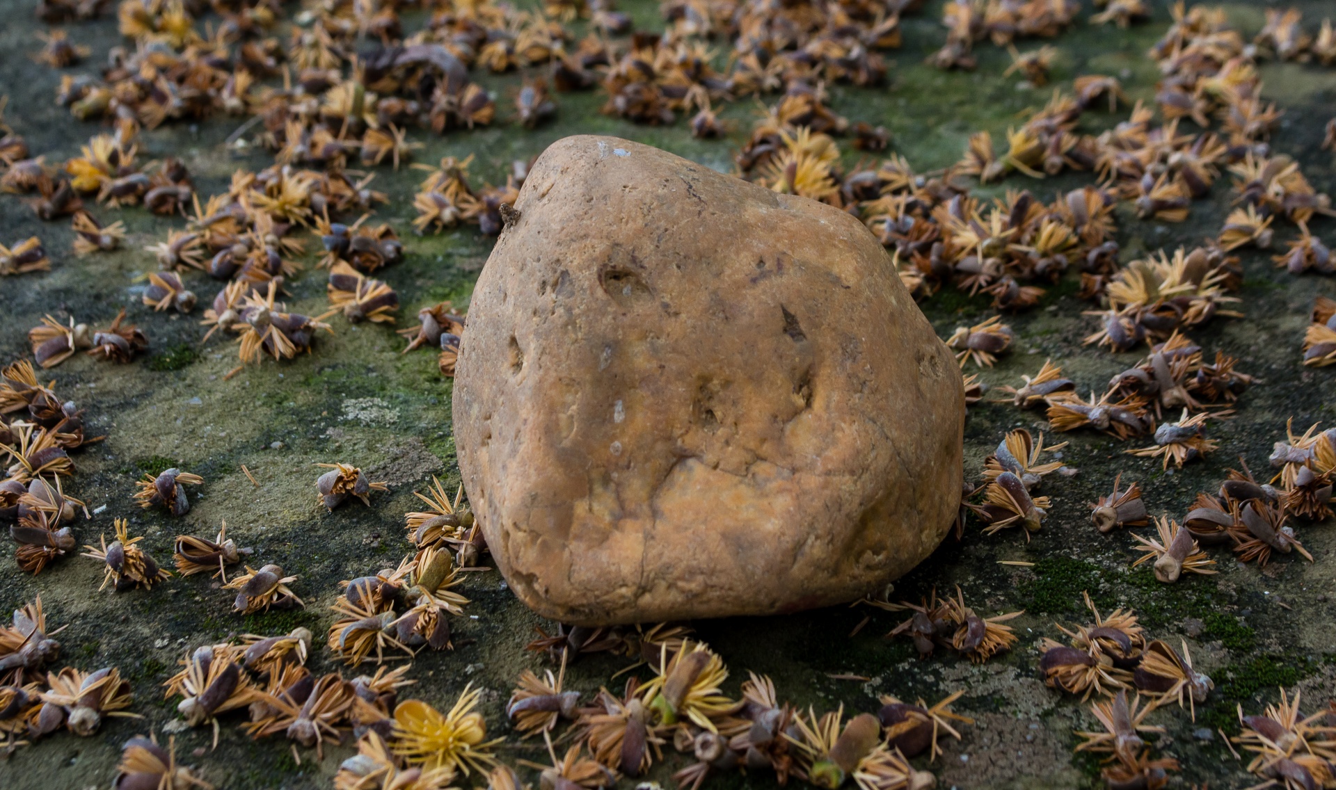 stone rock brazil free photo