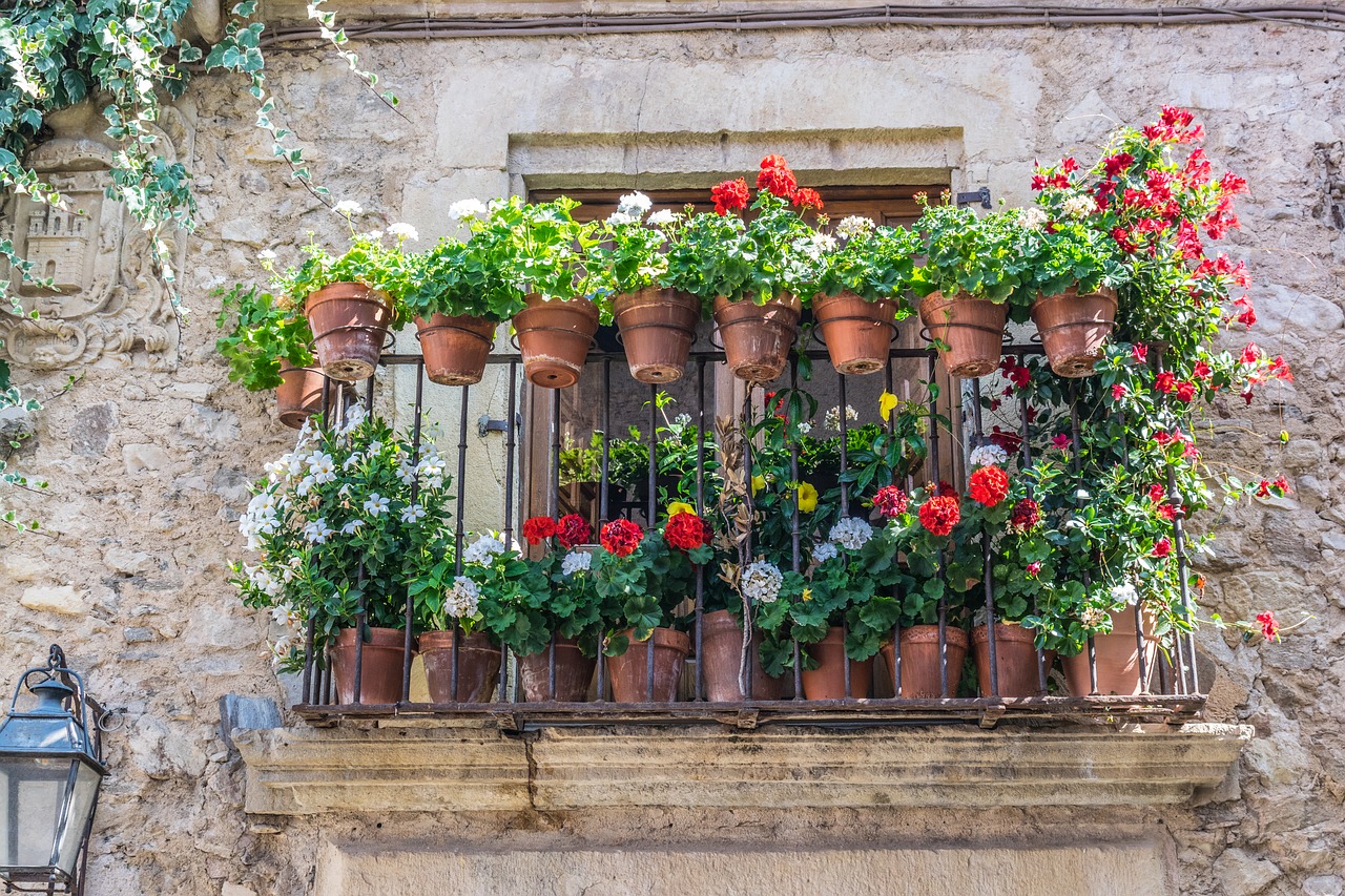 pedraza  tourism  rural free photo