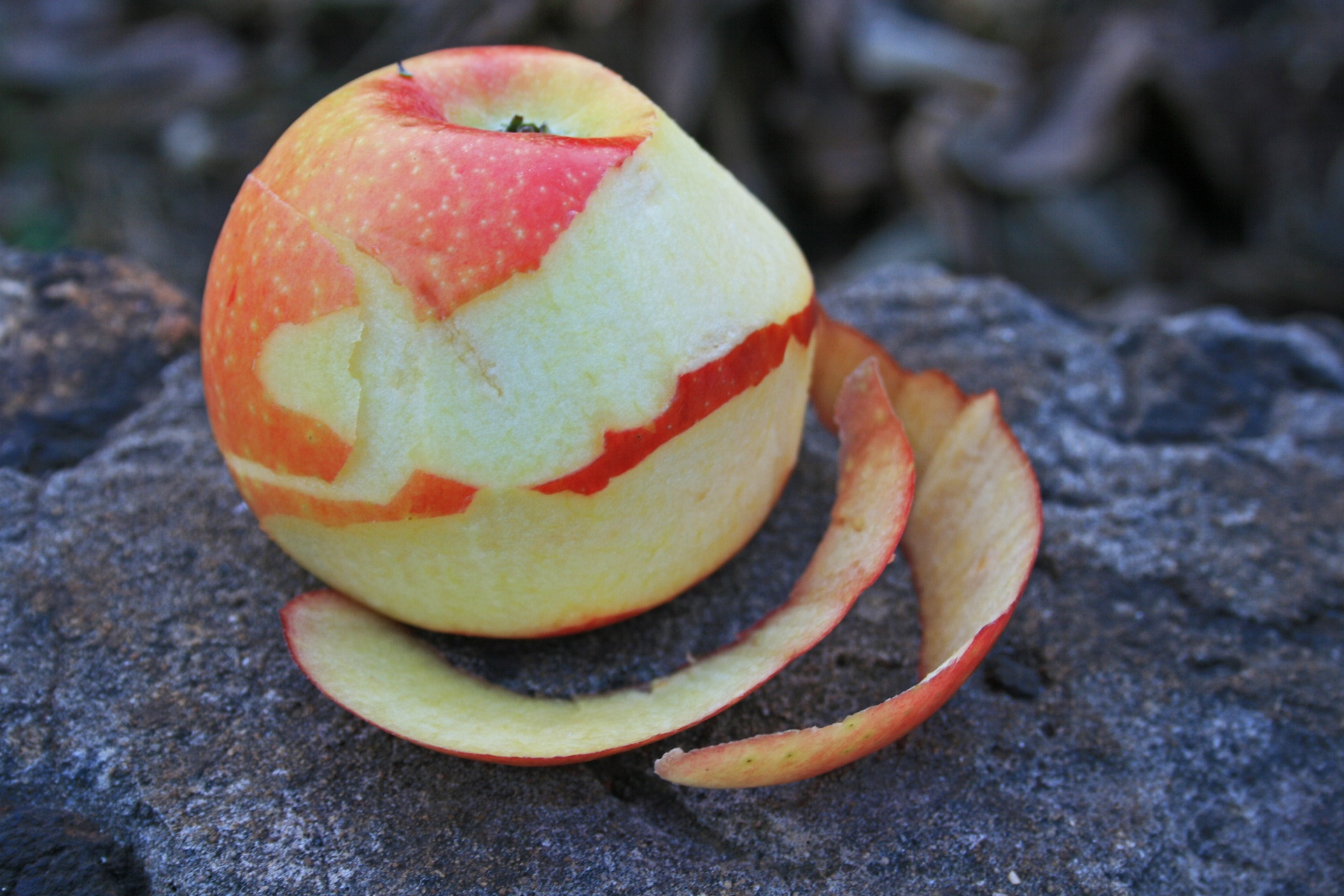 fruit apple peels free photo