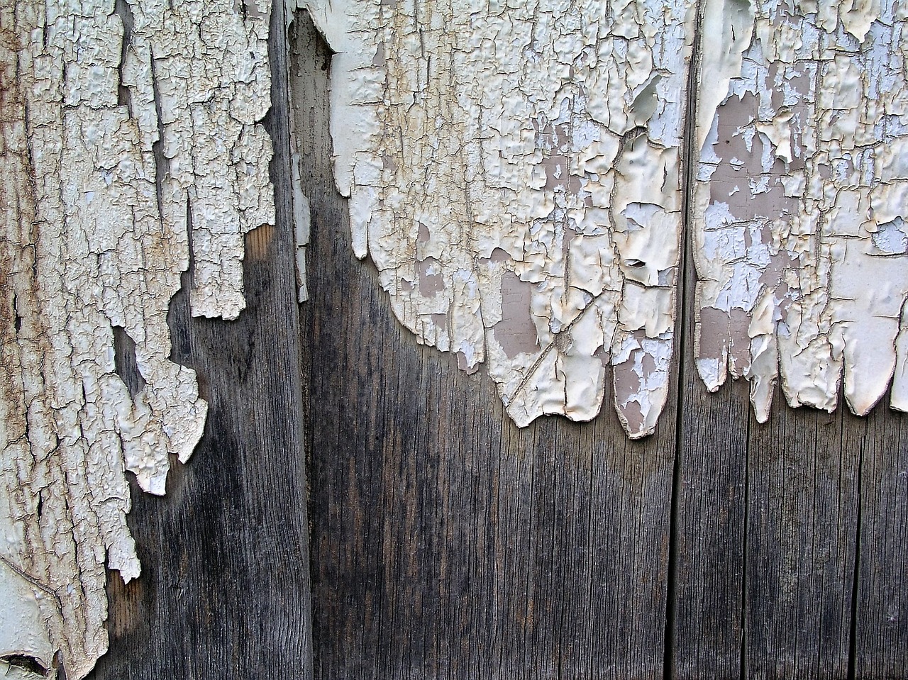 peeling paint wood texture free photo
