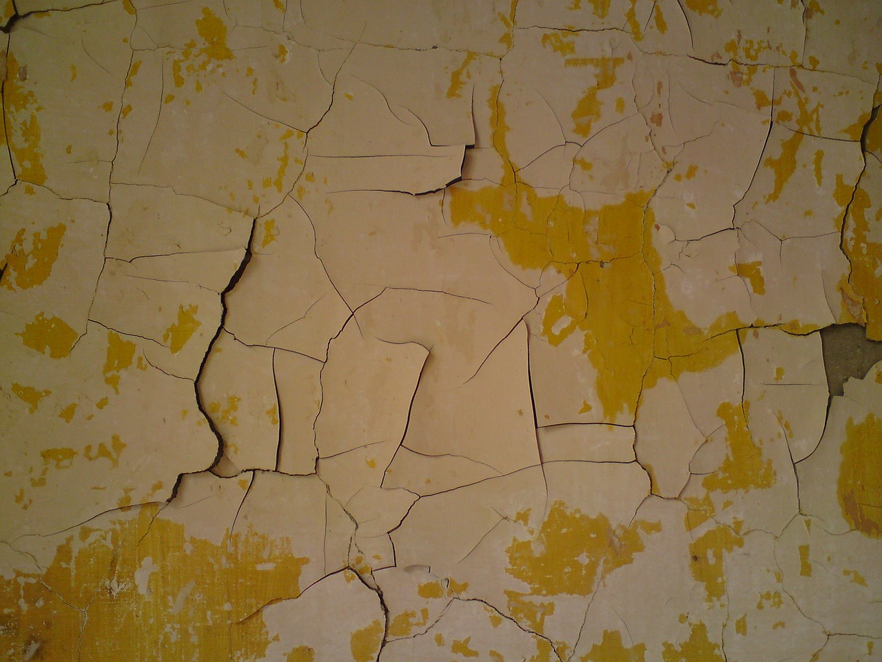 peeling paint wall old free photo