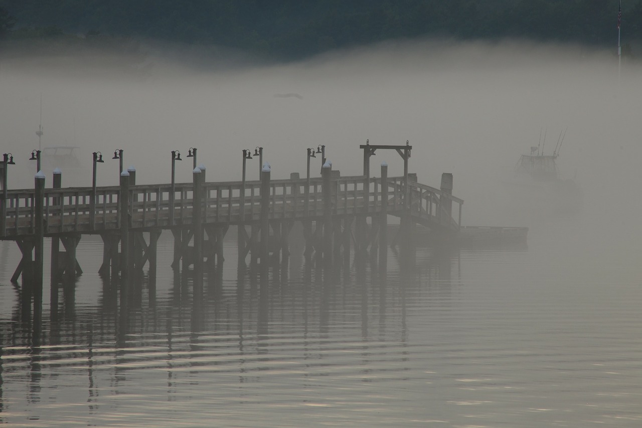 peer dock mist free photo