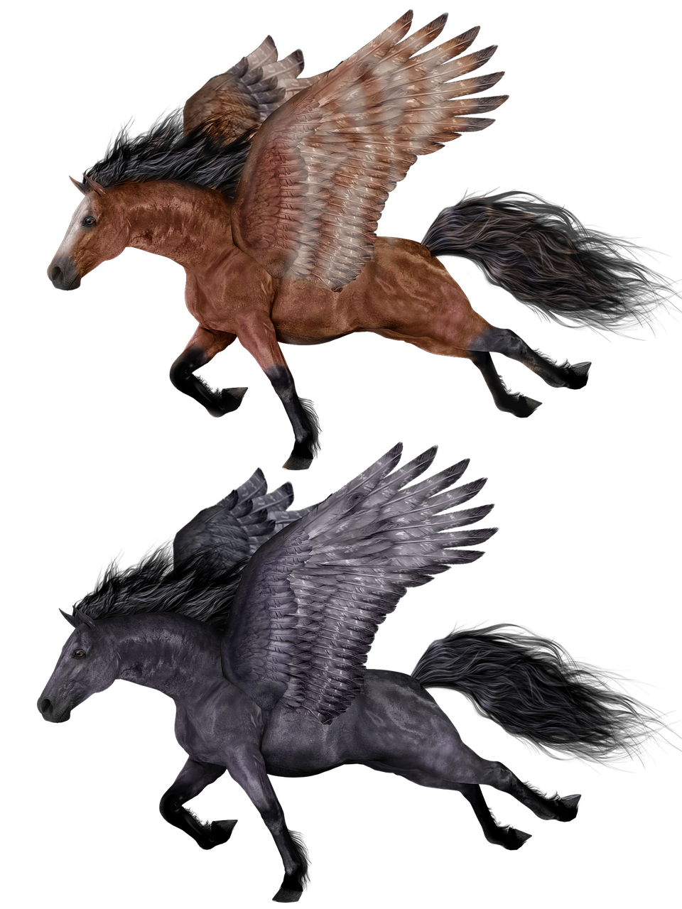 pegasus flying horse free photo