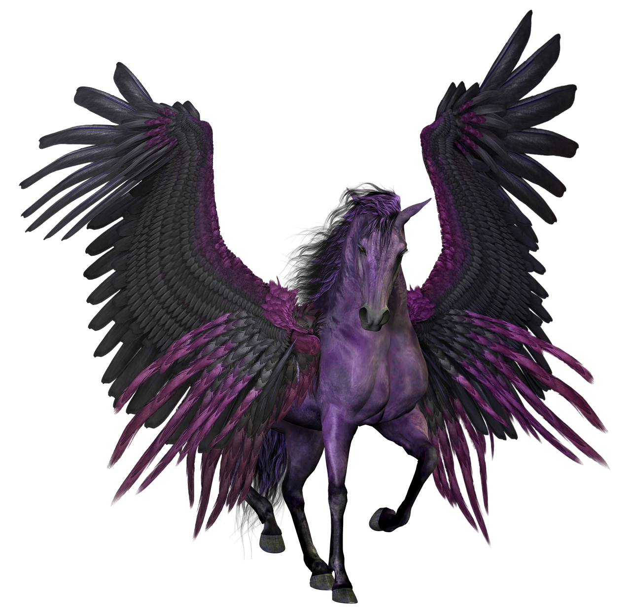 mlp pegasus flying stallion