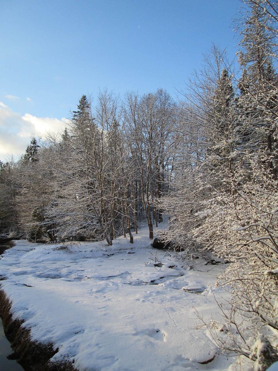 pei winter snow free photo