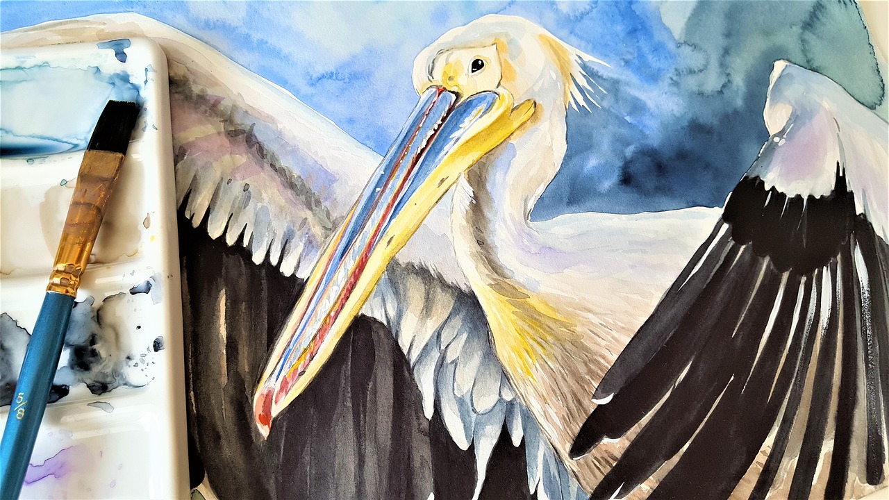 pelican  bird  animal free photo