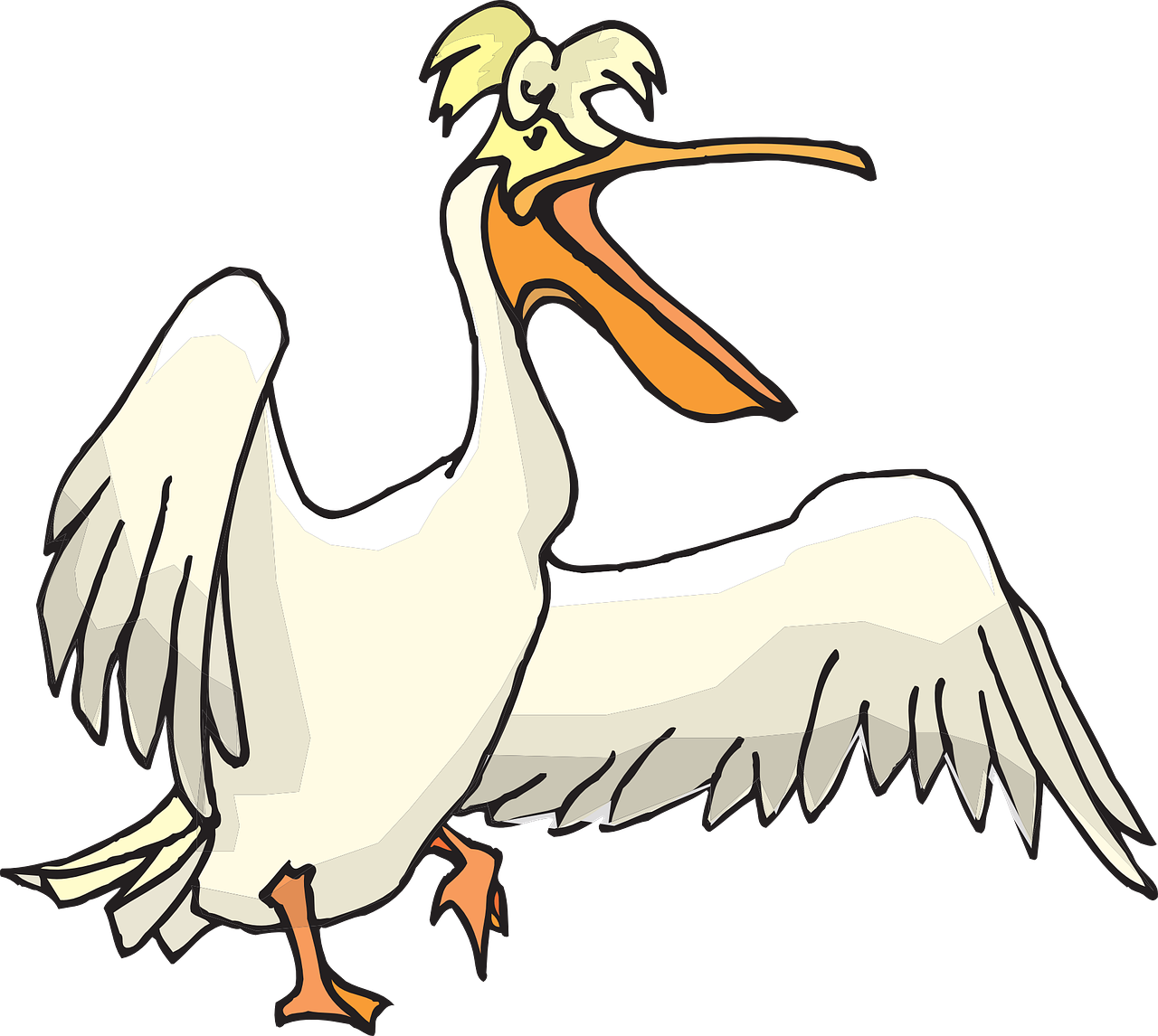 pelican seabird pouch free photo