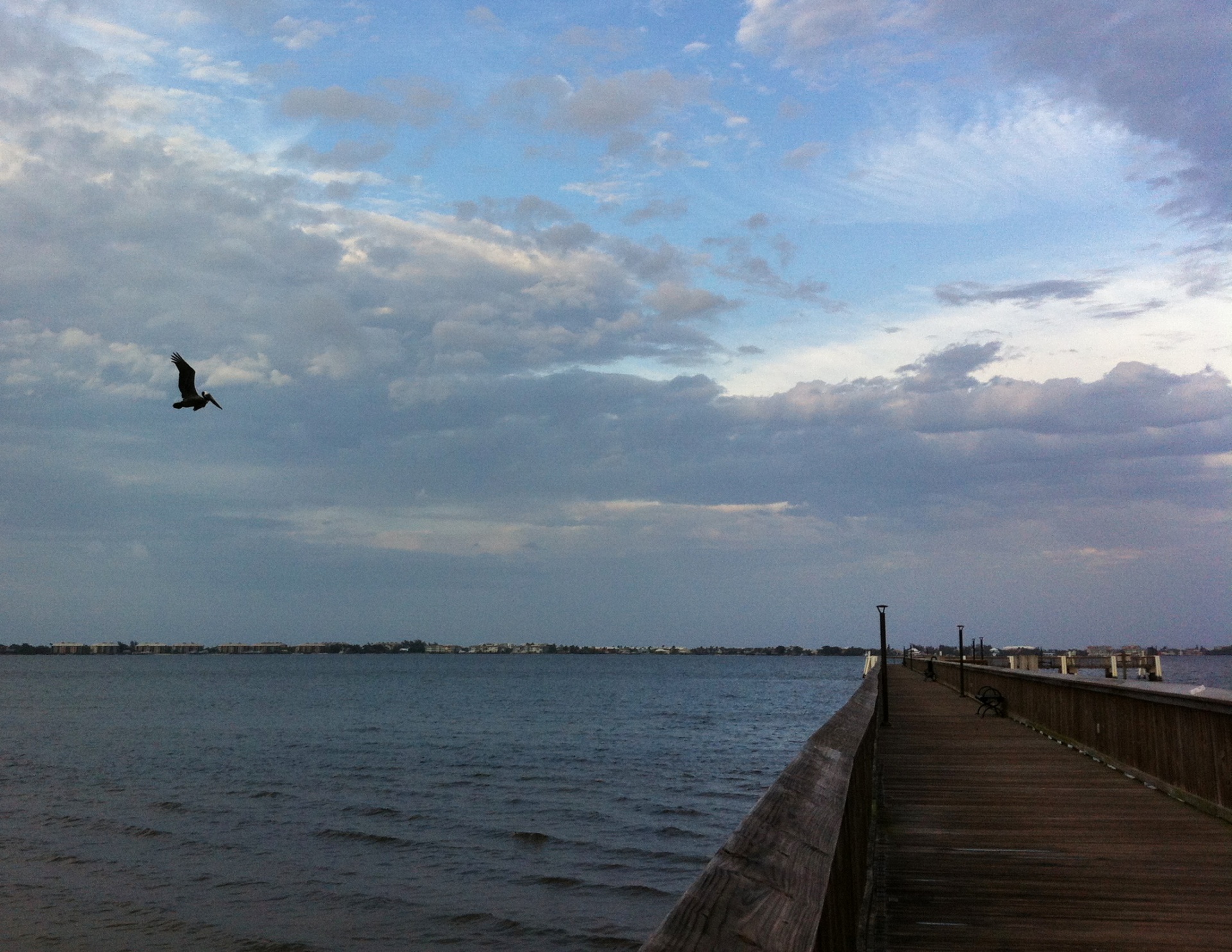 pelican boardwalk florida free photo