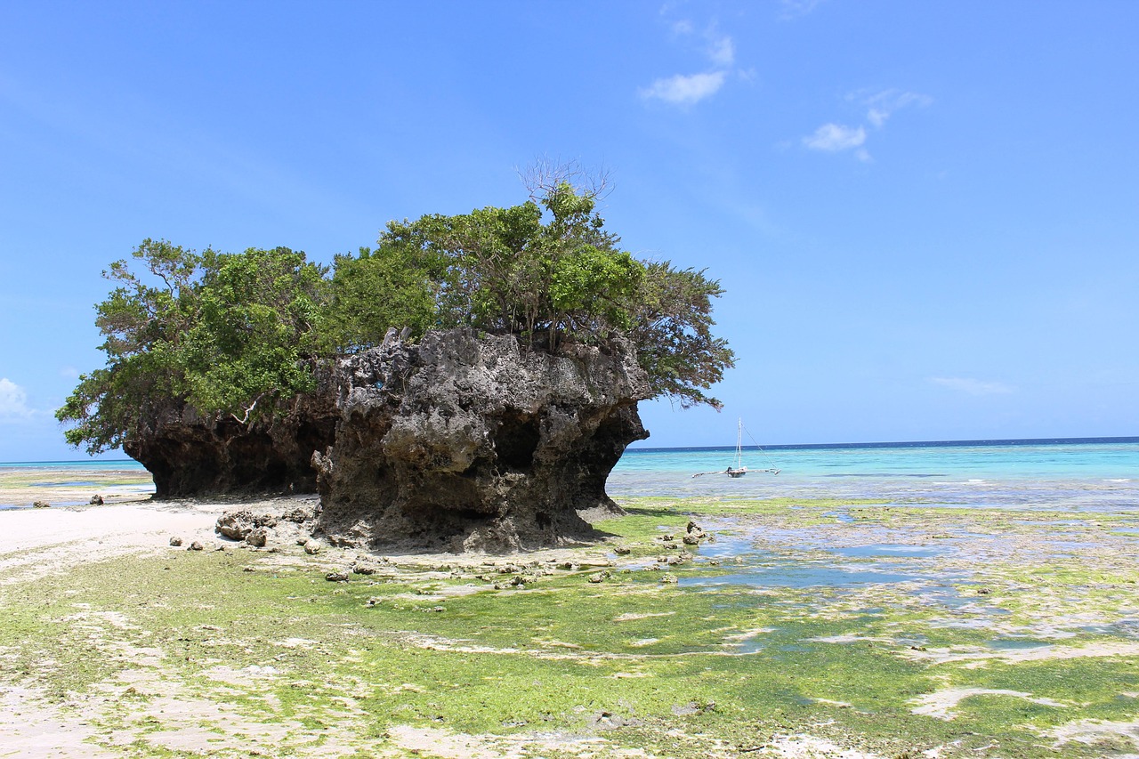 pemba island  holiday  vacation free photo