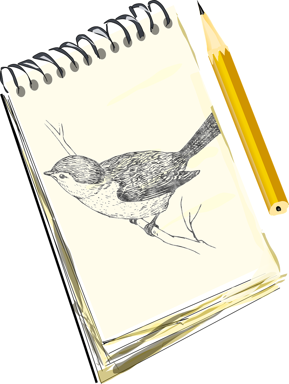 pencil sketch bird free photo