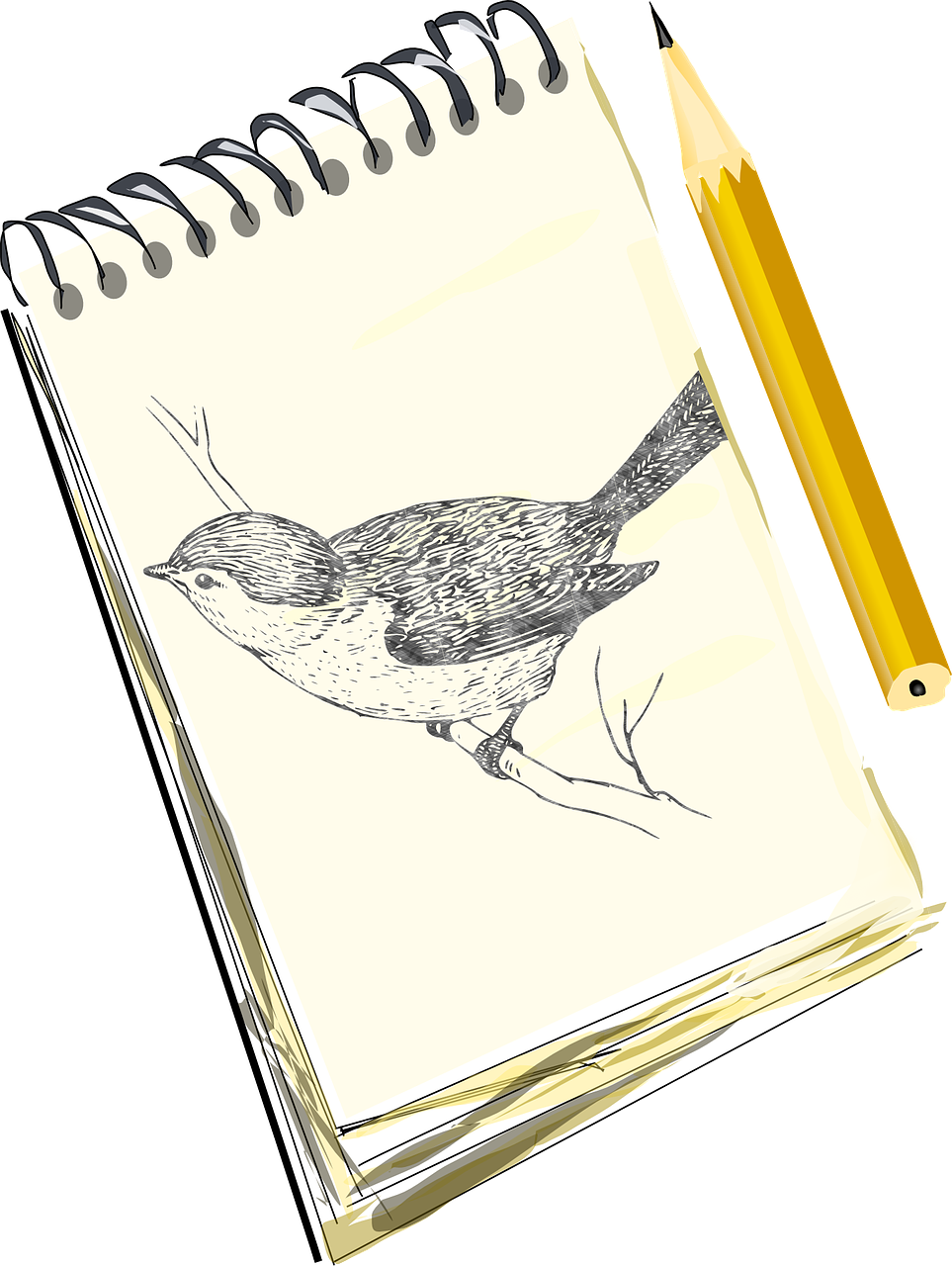 Pencil Sketch Bird Pad Draw Free Image From Needpix Com