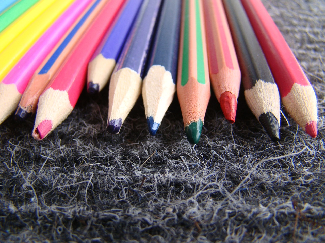 pencils coulored blue free photo