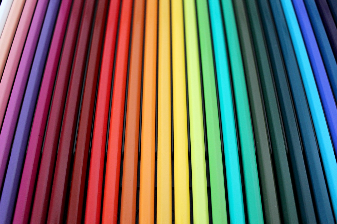 pencils colour school free photo