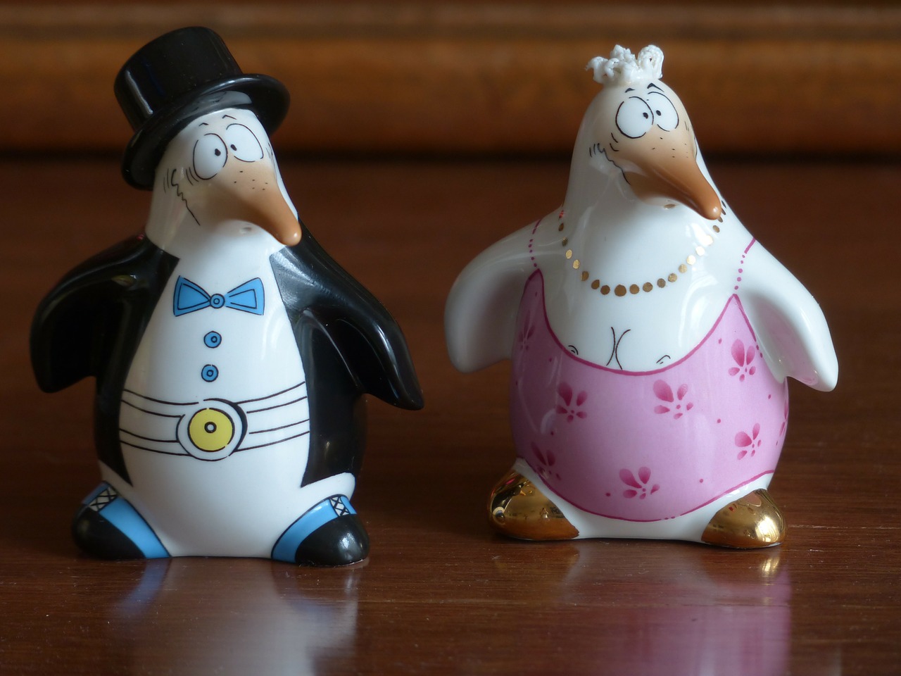 penguin bride groom free photo