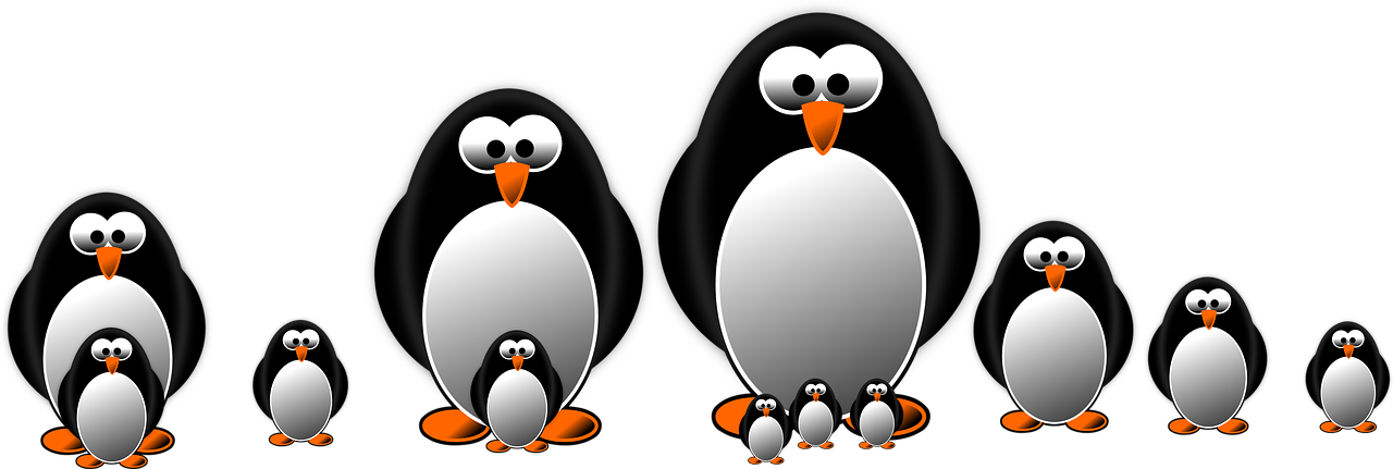penguin graphic draw free photo
