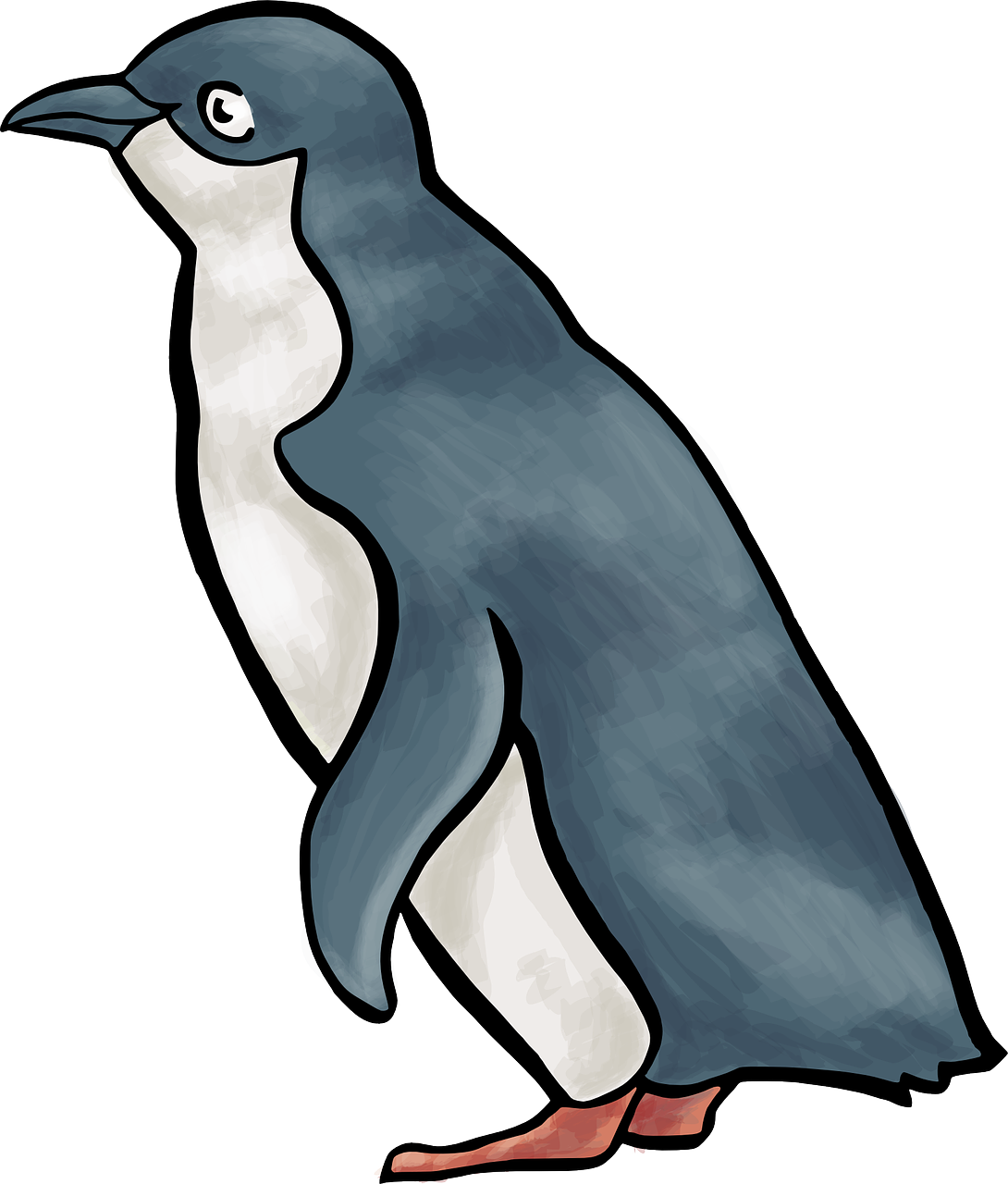 penguin bird linux free photo
