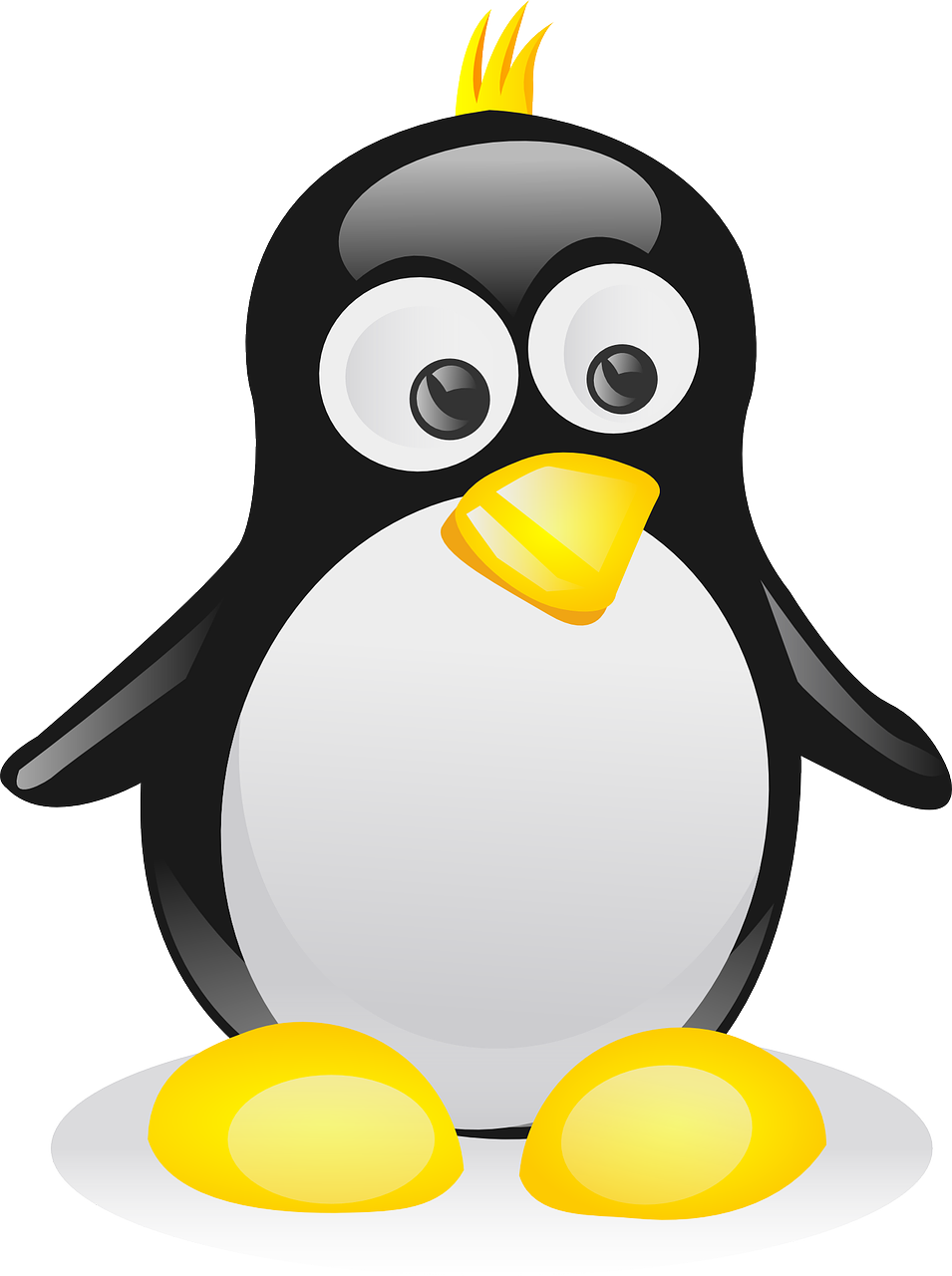 penguin bird linux free photo
