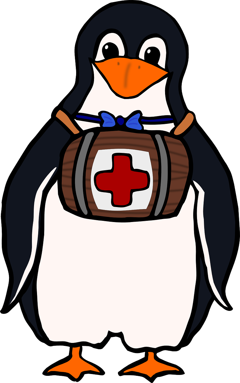 penguin red cross animal free photo