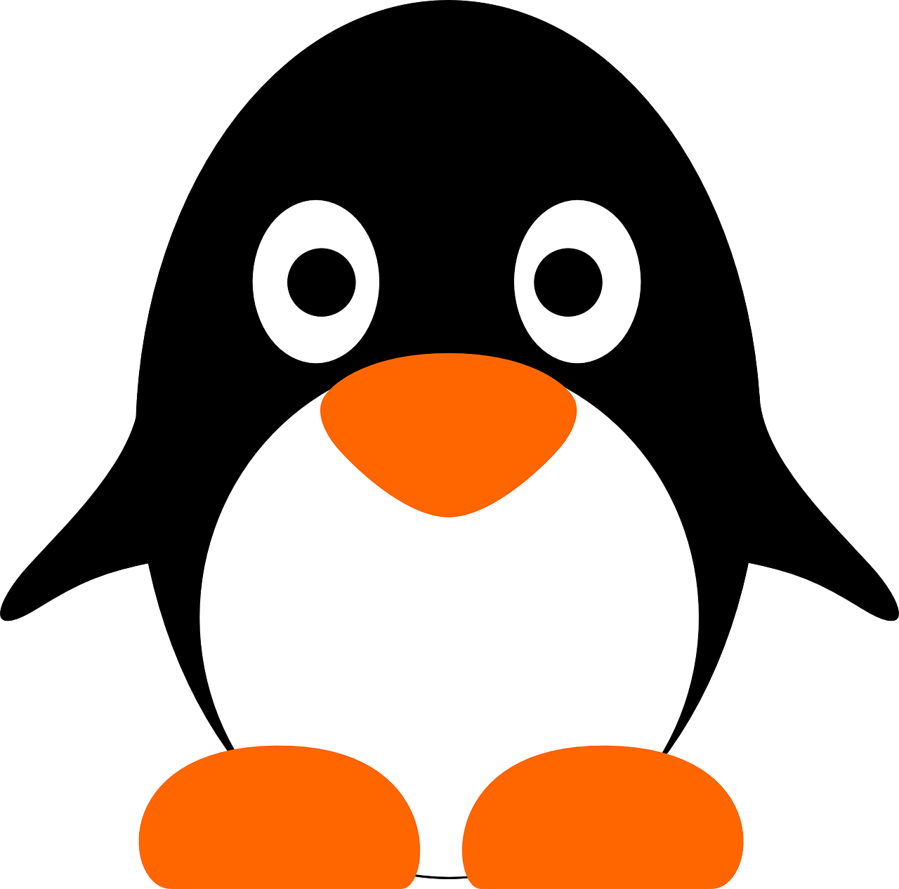 penguin animal cute free photo