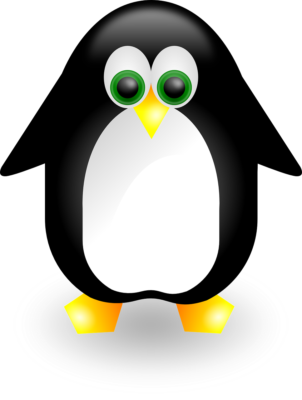 penguin animal cute free photo