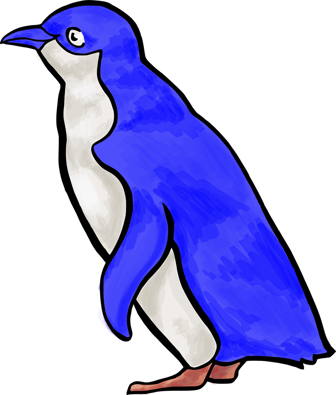 penguin blue tux free photo