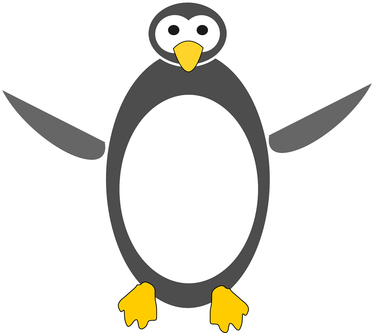 penguin bird wildlife free photo