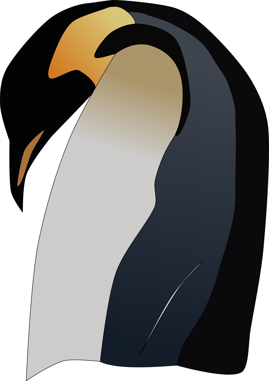 penguin  emperor  antarctica free photo