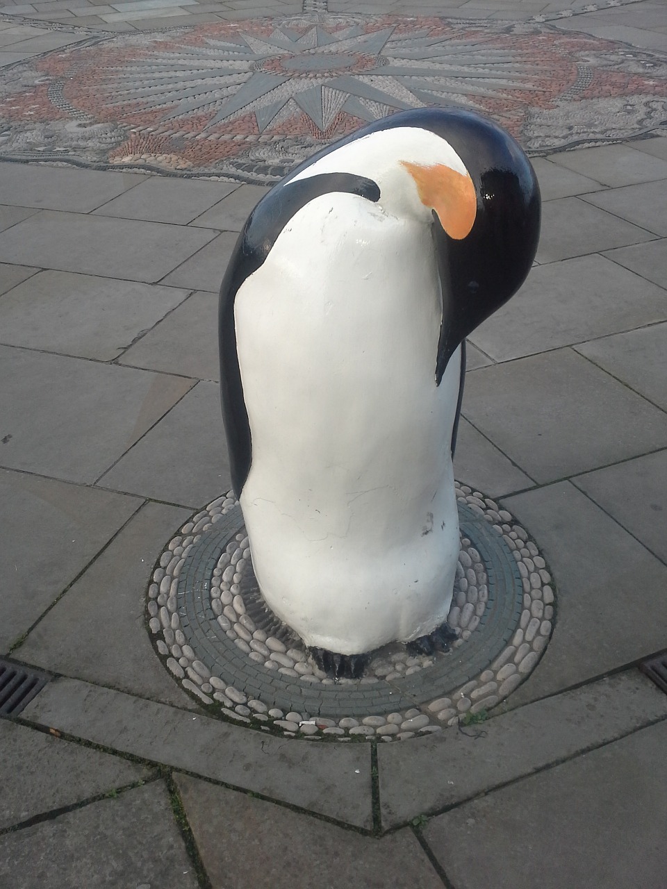 penguin dundee cold free photo