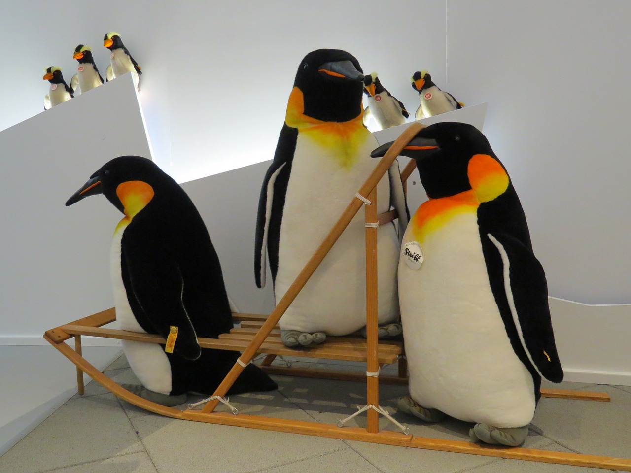 penguin penguins penguin family free photo
