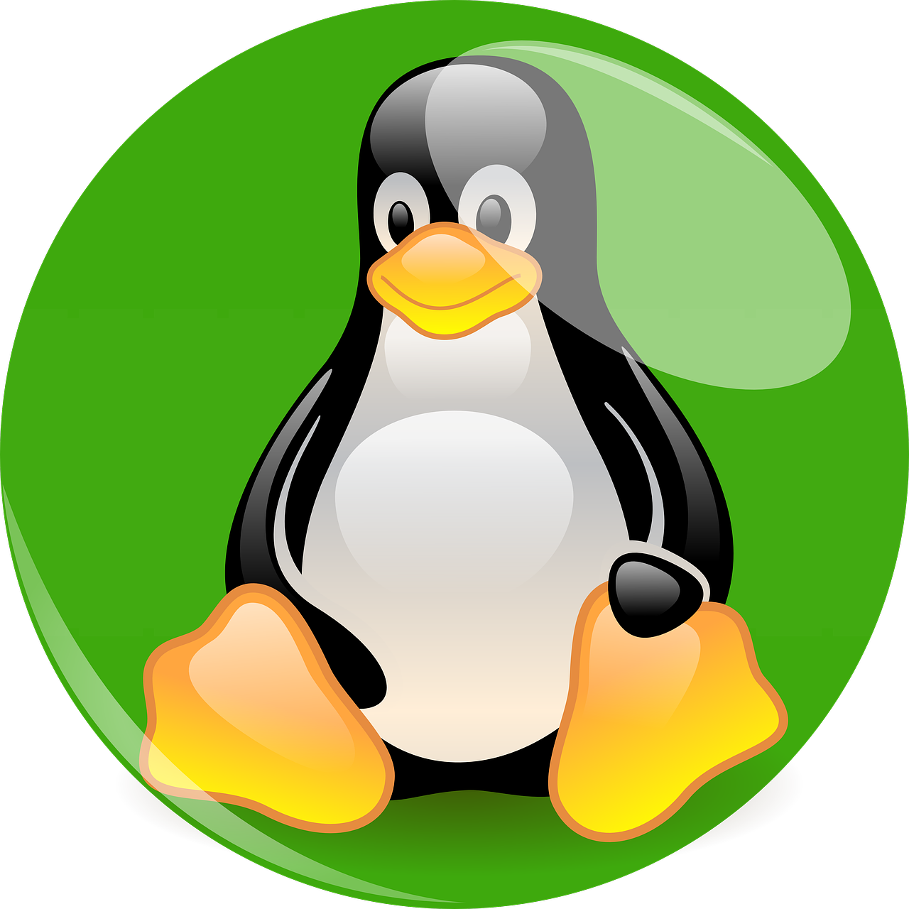 penguin,linux,mascot,cartoon character,figure,green,drawing,free pictures, free photos, free images, royalty free, free illustrations, public domain