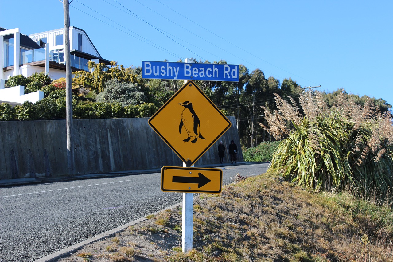 penguins street sign bushy beach road free photo