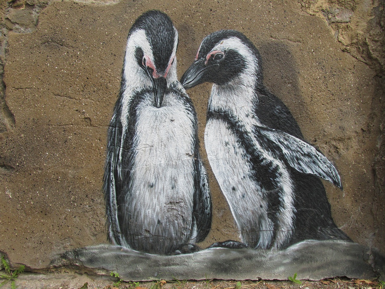 penguins wall art wall free photo