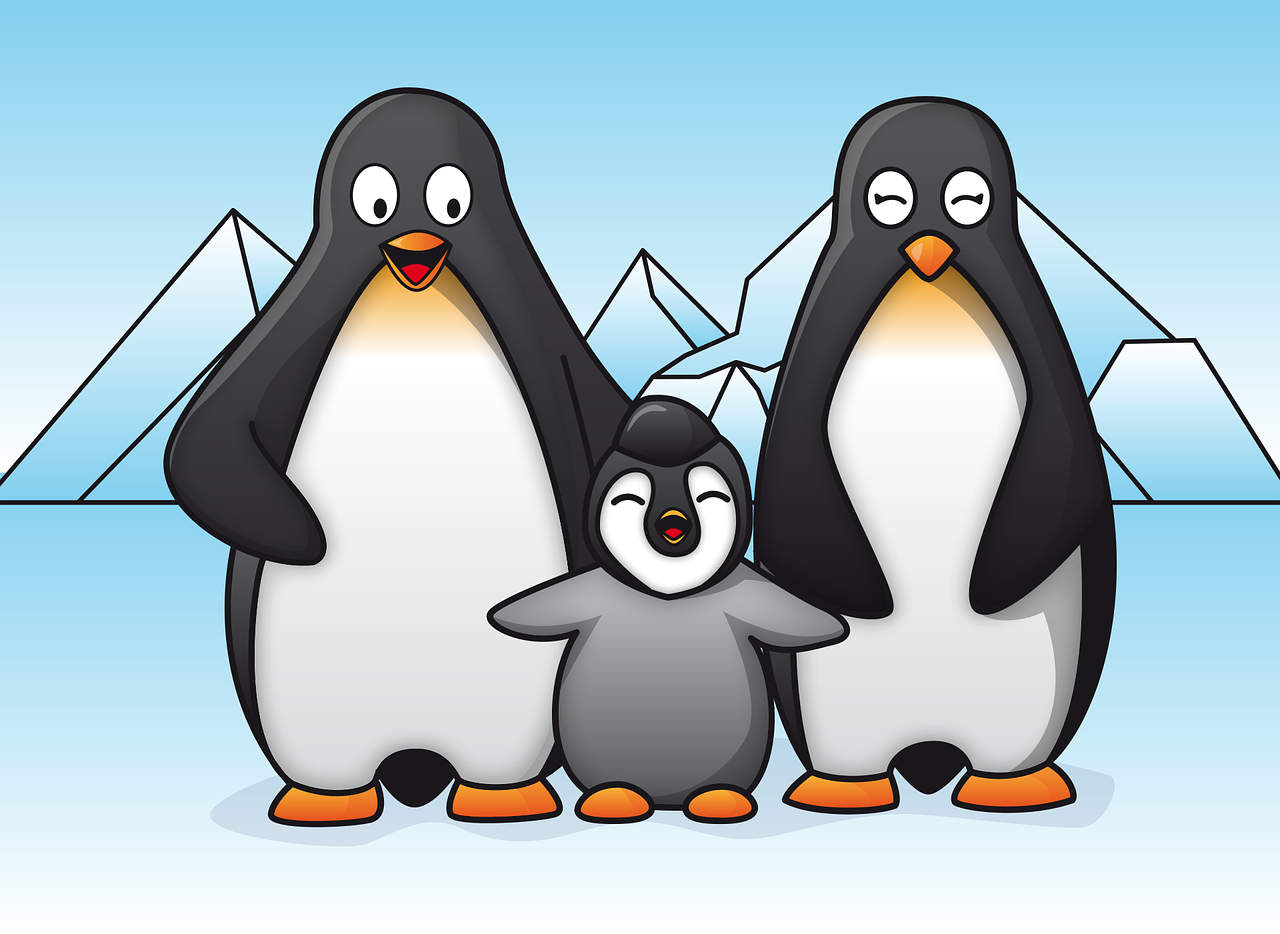 penguins  family  animals free photo