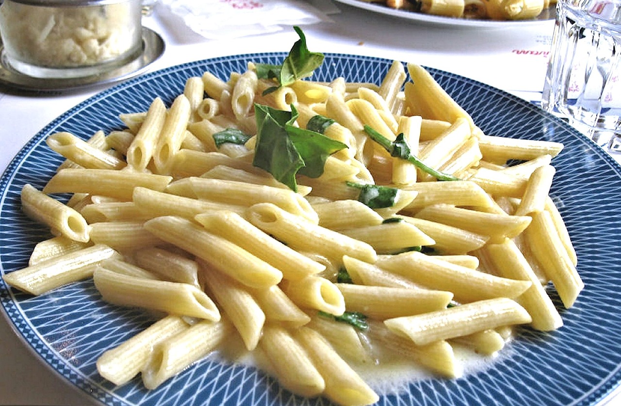 penne alfredo sauce food free photo