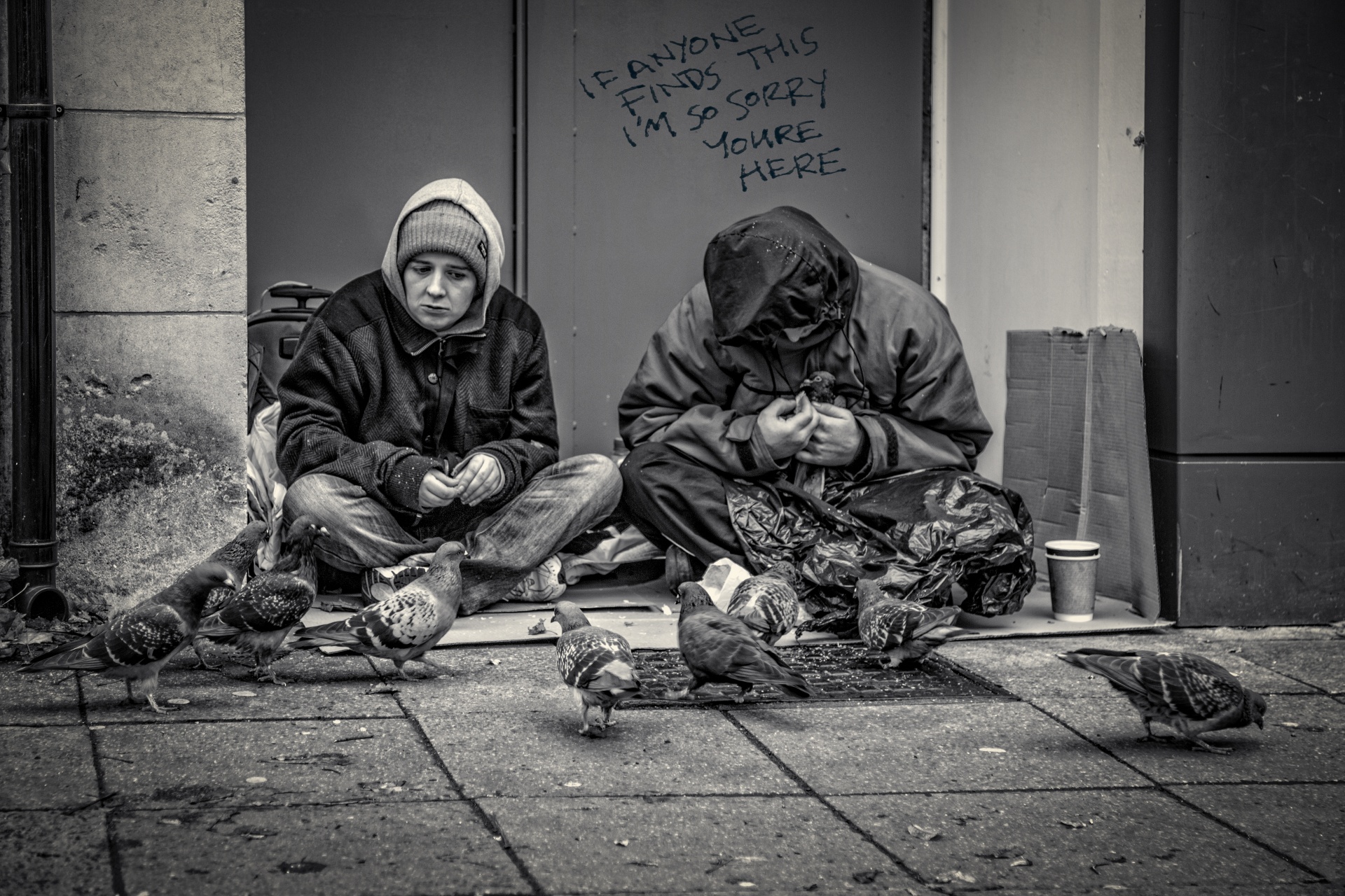 homelessness poverty begging - social issue free photo