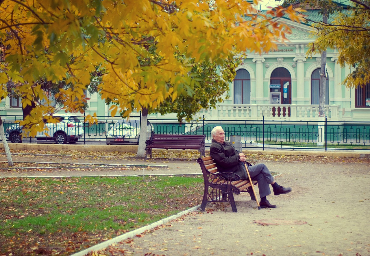 pensioner the old man autumn free photo