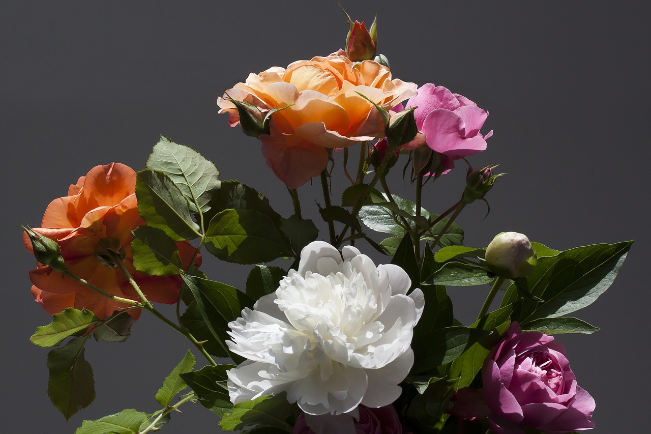 pentecost  bouquet  rose free photo