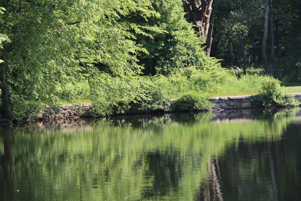 pentucket lake reflection free photo