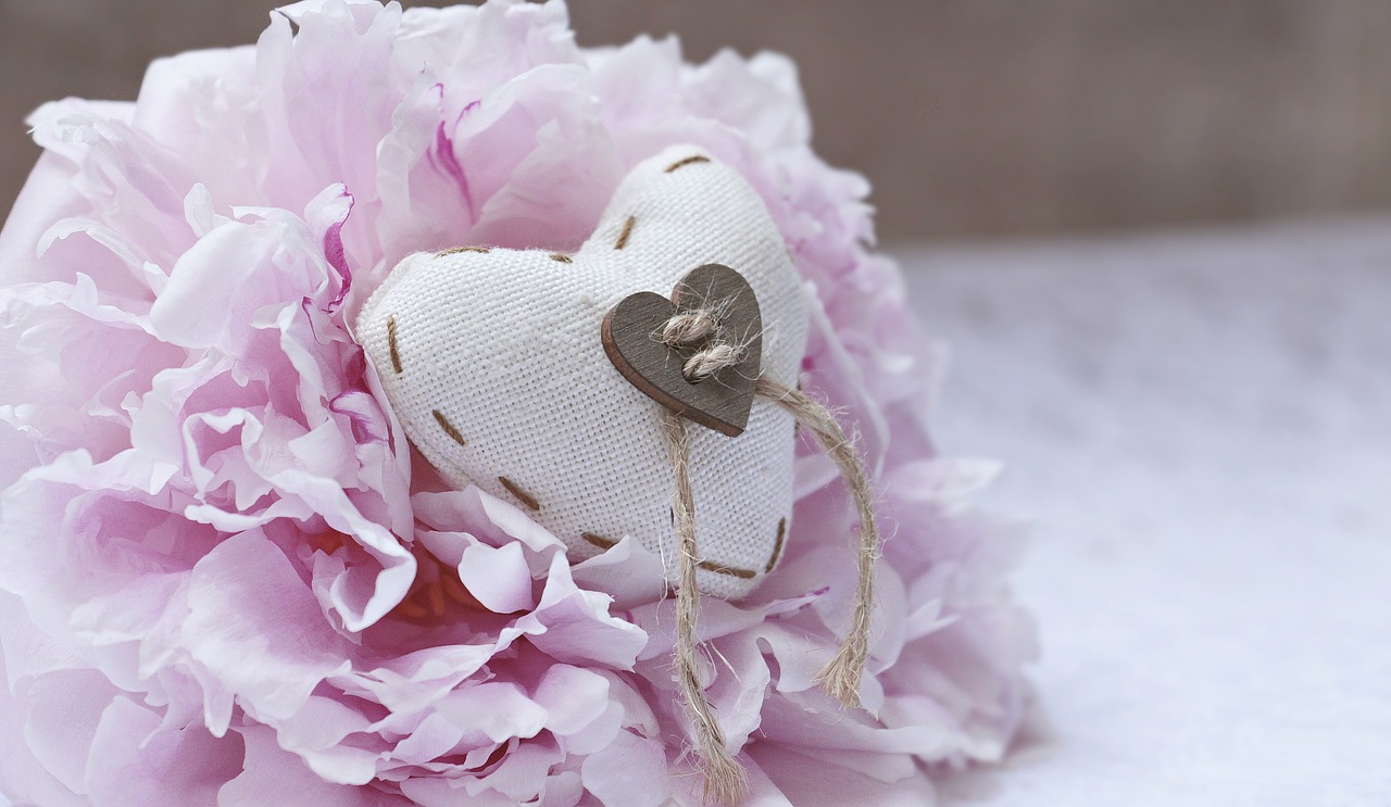 peony heart linen heart free photo