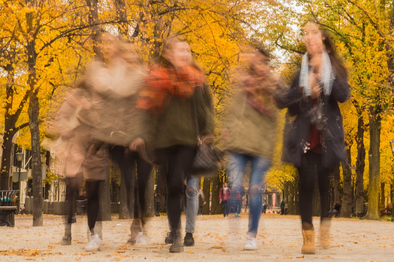 people autumn walking free photo