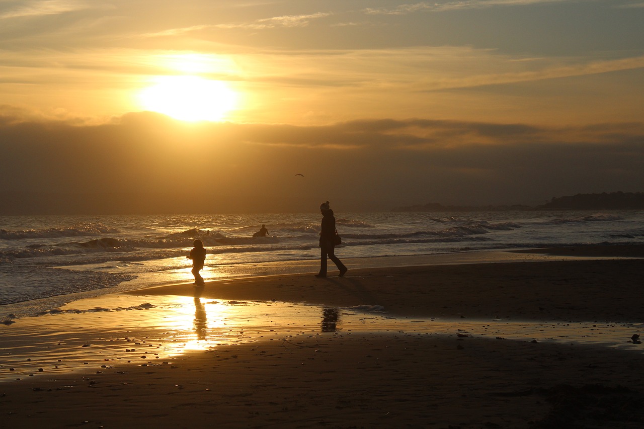 people beach sun free photo