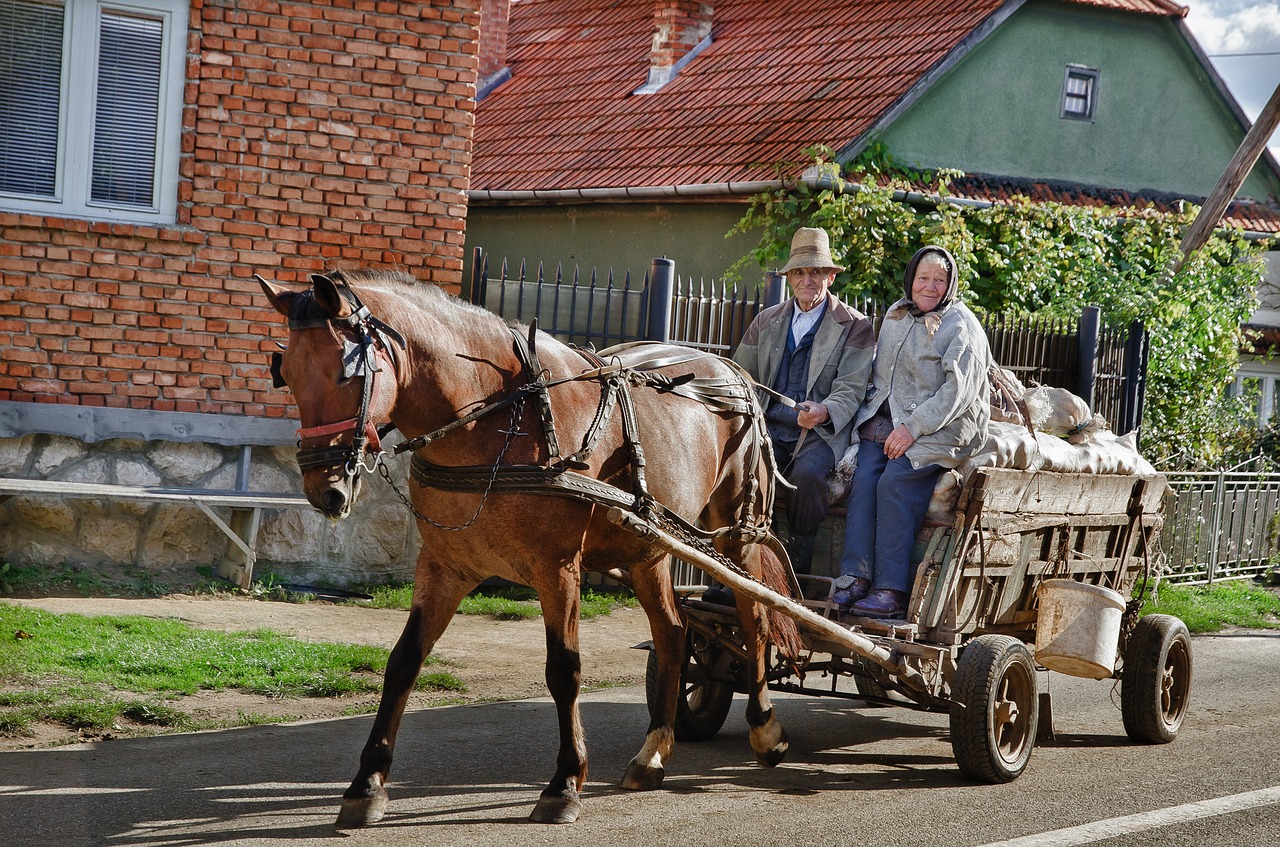 People,horse,wagon,farm wagon,agriculture - free image from needpix.com