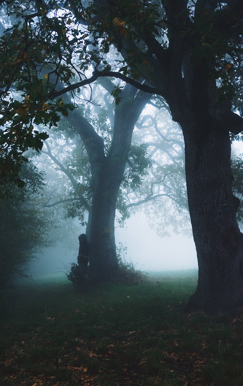 people hiding tree free photo